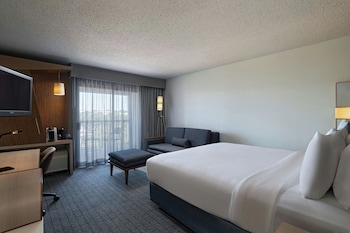 Room, 1 King Bed with Sofa bed