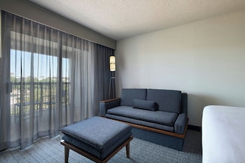 Room, 1 King Bed with Sofa bed