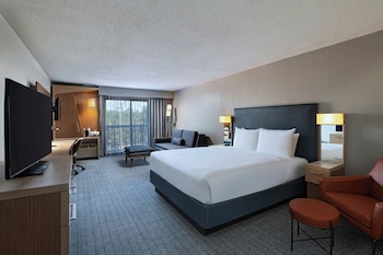 Room, 1 King Bed with Sofa bed