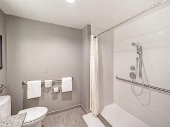 Standard Room, 1 King Bed, Accessible (Roll-in Shower)