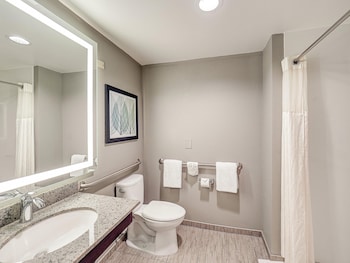 Standard Room, 1 King Bed, Accessible (Roll-in Shower)