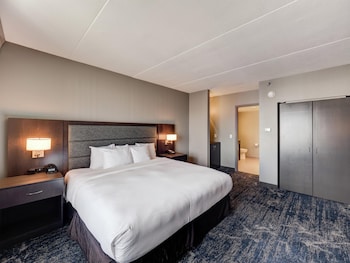 Executive Suite, 1 King Bed