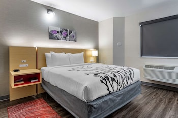 Room, 1 Queen Bed, Accessible, Non Smoking