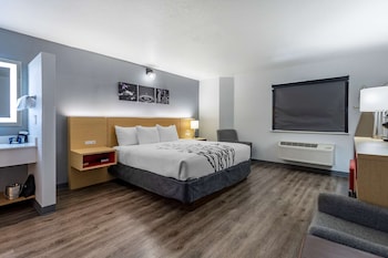 Standard Room, 1 King Bed, Non Smoking