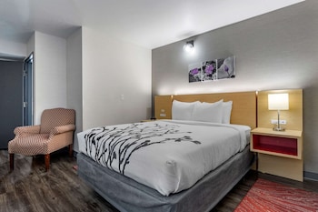 Room, 1 Queen Bed, Accessible, Non Smoking