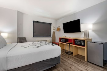 Standard Room, 1 Queen Bed, Non Smoking