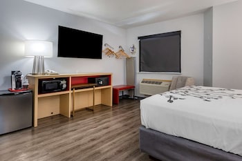 Standard Room, 1 Queen Bed, Non Smoking