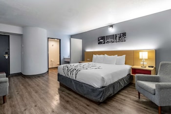 Standard Room, 1 King Bed, Non Smoking