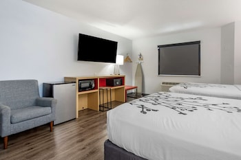 Standard Room, 2 Double Beds, Non Smoking