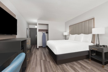 Room, 1 King Bed, Non Smoking