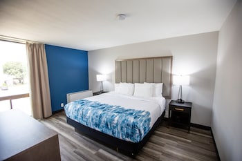 Suite, 1 Bedroom, Non Smoking
