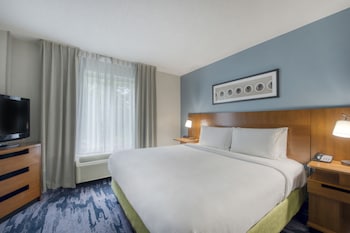 Executive Suite, 1 King Bed with Sofa bed