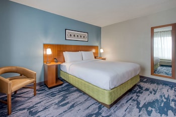 Room, 1 King Bed