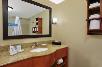 Room, 1 King Bed, Accessible, Non Smoking, Roll-In Shower