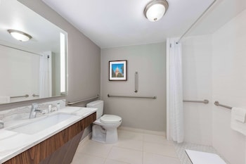 Room, 1 King Bed, Accessible, Non Smoking (Roll-In Shower)