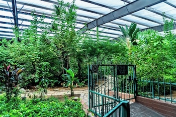 ADA 1 Queen Bed Garden