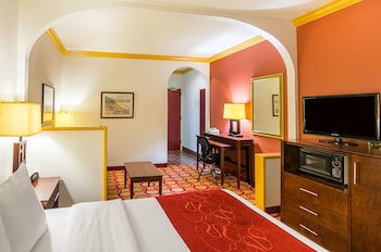 Suite, 1 Queen Bed, Non Smoking