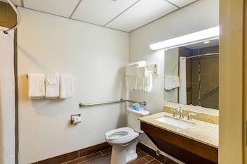 Suite, 1 King Bed, Accessible, Non Smoking