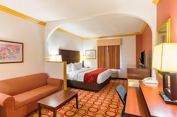 Suite, 1 King Bed with Sofa bed, Non Smoking