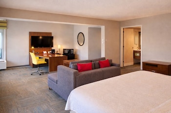Suite, 1 King Bed, Non Smoking (with Sofabed)