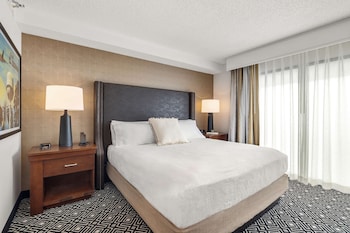 Suite, 1 Queen Bed, Accessible, Bathtub