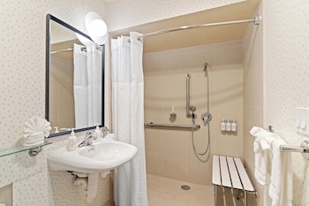 Standard Room, 1 King Bed, Roll-in Shower