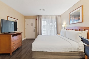 Standard Room, 1 King Bed, Roll-in Shower