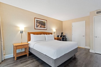 Standard Room, 1 King Bed, Roll-in Shower