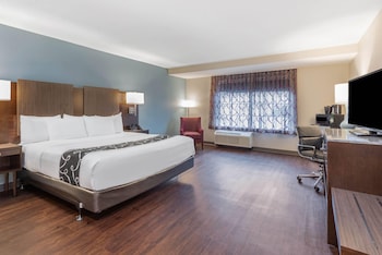 Room, 1 King Bed, Accessible, Non Smoking (Roll-In Shower)