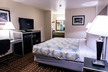 Standard Room, 1 King Bed, Non Smoking, Refrigerator & Microwave