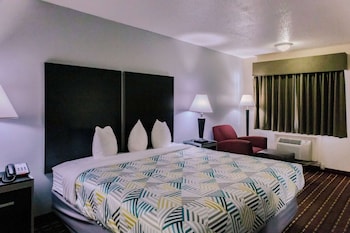Standard Room, 1 King Bed, Non Smoking, Refrigerator & Microwave