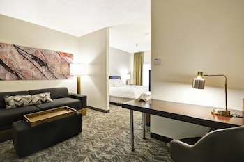 Suite, 1 King Bed with Sofa bed (Mobility/Hearing Access, Transf Shwr)