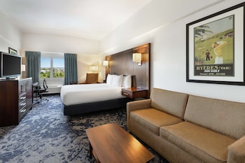 Room, 1 King Bed with Sofa bed