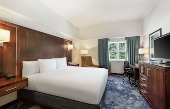 One King Bed