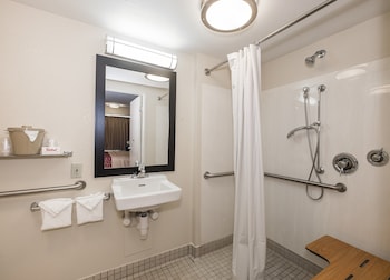 Standard Room, 1 King Bed, Accessible (Roll-In Shower, Smoke Free)