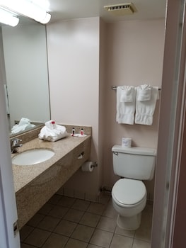 Deluxe Room, 1 King Bed, Non Smoking
