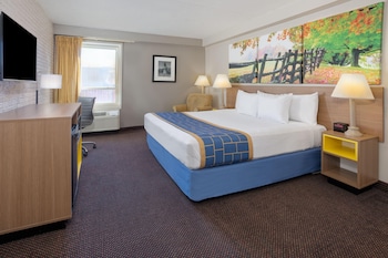 Room, 1 King Bed, Non Smoking