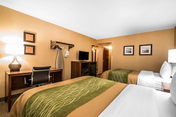 Standard Double Room, 2 Double Beds, Non Smoking