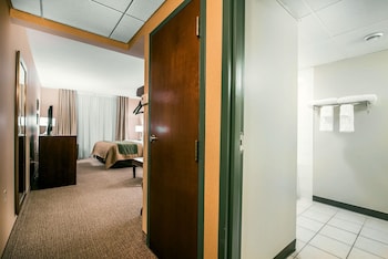 Standard Single Room, 1 King Bed, Accessible, Non Smoking (Accessible Tub)