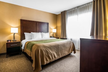 Standard Single Room, 1 King Bed, Accessible, Non Smoking (Accessible Tub)