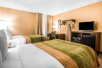 Standard Double Room, 2 Double Beds, Non Smoking