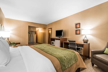 Standard Single Room, 1 King Bed, Accessible, Non Smoking (Accessible Tub)