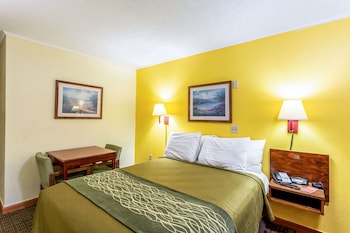Room, 1 Double Bed, Accessible, Non Smoking