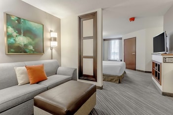 Standard Studio Suite, 1 King Bed with Sofa bed, Accessible, Bathtub
