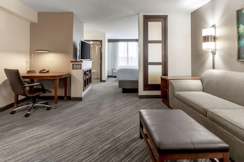Standard Studio Suite, Multiple Beds