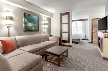 Deluxe Studio Suite, 1 King Bed with Sofa bed, Microwave (Specialty)