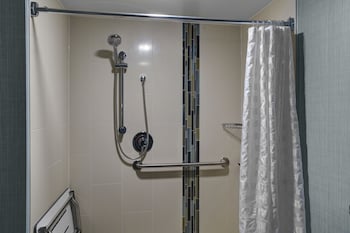 Standard Studio Suite, 1 King Bed with Sofa bed, Accessible, Bathtub