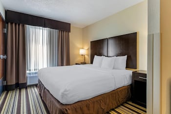 Room, 1 King Bed, Non Smoking, Refrigerator (Upgrade)