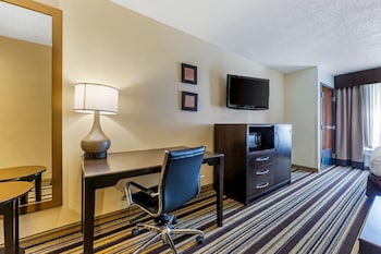 Room, 1 King Bed, Non Smoking, Refrigerator (Upgrade)