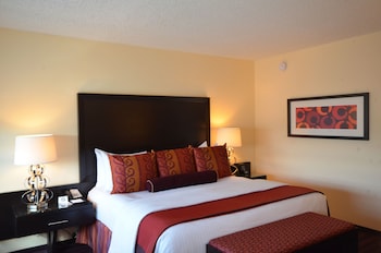 Suite, 1 Bedroom, 1 King Bed